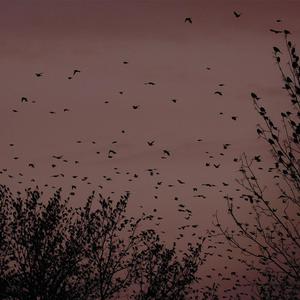 原纱央莉写真无码流出
